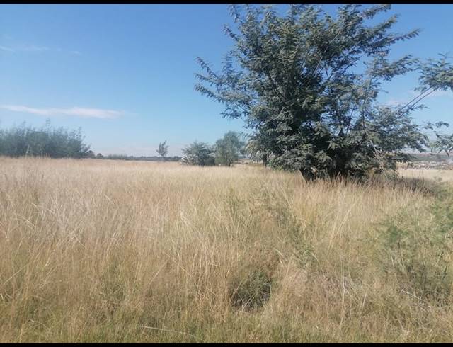 LAND FOR SALE IN WALKERVILLE CENTRAL